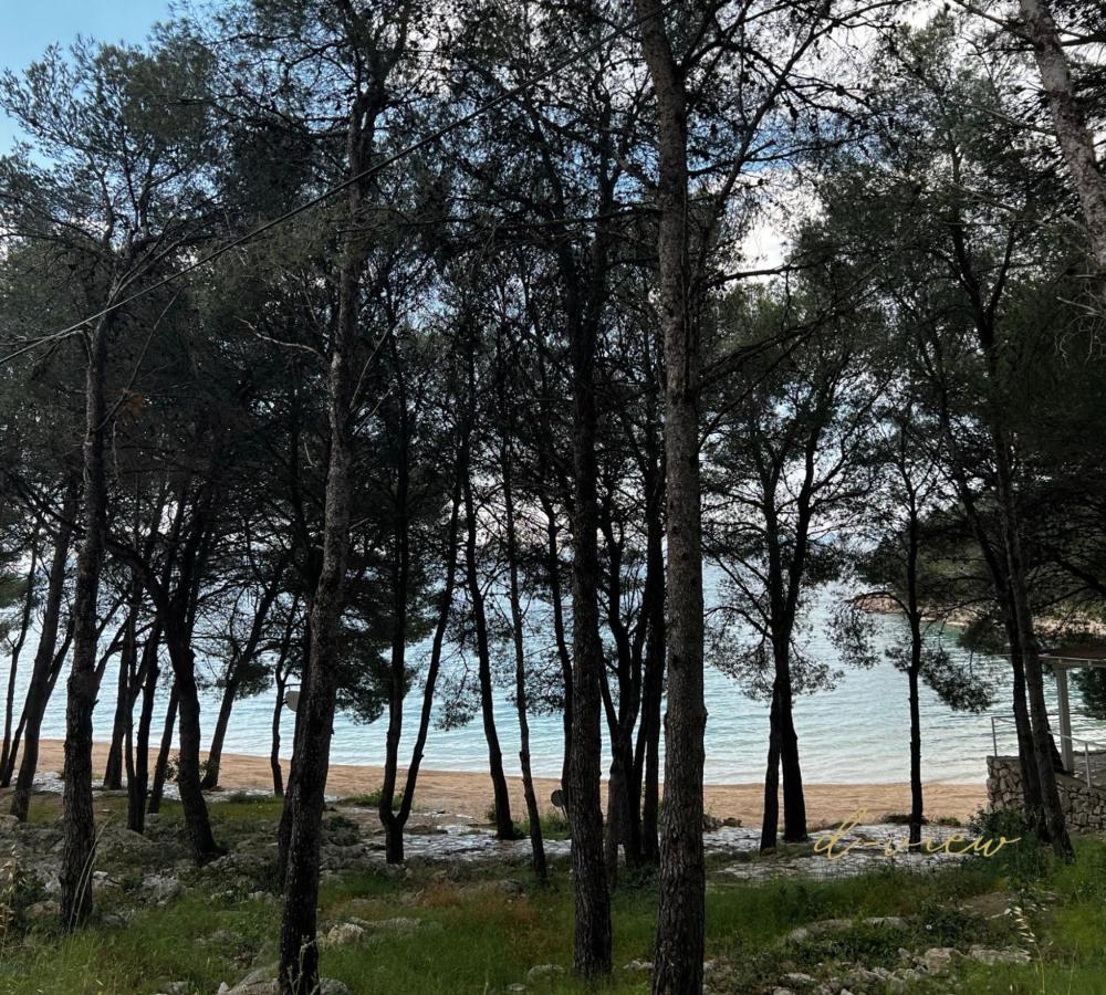 D-View Premium Mobile Home - Panoramic Seaview - 150 M From Beach, Free Parking Drage Extérieur photo